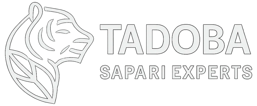 Tadoba Safari Experts