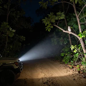 Private Night Buffer Drive Experience